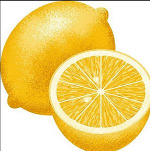 lemon festival in menton